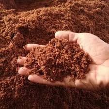 Ariya Organic Cocopeat Peat Moss for Indoor and Outdoor Gardening - 5kg