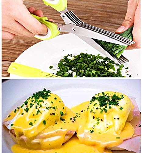 Multi-Function 5 Blade Vegetable Stainless Steel Herb Shredding Scissors with Cleaning Combo, Colour May Vary