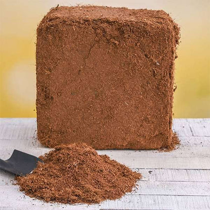 Ariya Organic Cocopeat Peat Moss for Indoor and Outdoor Gardening - 5kg